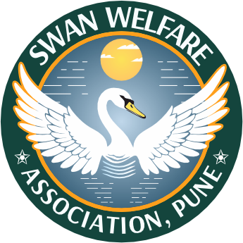 SWAN Welfare Association